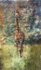 Elegant Giraffe