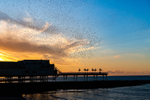 ANT_2068-1