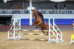 SBM_001712
