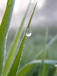 small worlds