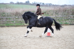 SBM_007090