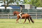 SBM_06849