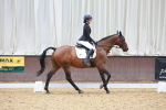 SBM_000736