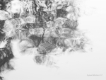 Displaced Reflections (6117)