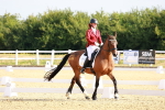 SBM_008181