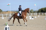 SBM_020220