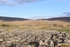 JL - 3.12.22 158855 & 158902 10:09 Appleby - Leeds, Ribblehead