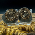 Cut & Polished Whitby Ammonite 041