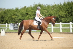 SBM_008683