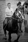 Appleby 017