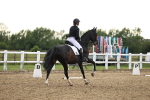 SBM_002845