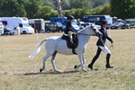 WJ6_7765
