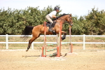 SBM_000875