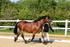 1X9A0524
