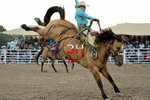 3HRodeo8-5-24_CFD_3HR-YUMA- 0998_