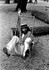 ARTHUR BROWN