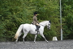 WJ7_7456