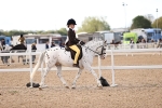 SBM_08994
