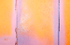 COLOUR FIELD