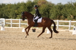 SBM_015837