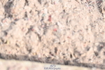240623A-094040-16301