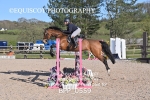 BPP_0559