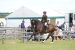 SBM_16253