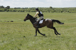 BVHT 140517  IXC -812
