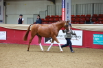 SBM_00529
