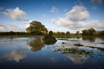 After the flood, Culm valley