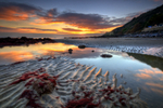 z1950 Low Tide Reflections, Ventnor Bay