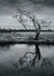 by Andy Farrell 4