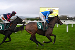151125-Race 7-Divine Diva-4723