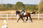 SBM_018431