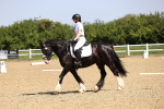 SBM_008254