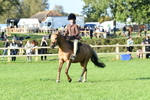 SBM_54095