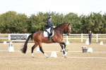 SBM_008734
