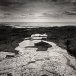 Ice to Sea (square format)