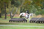 WJ6_3596