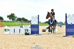 Cls 12, 2 Star Big Tour Grand Prix Jump Off and Presentations portfolio