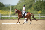 SBM_009484