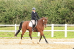 SBM_002902