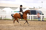 SBM_00560