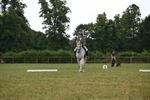 WJ6_7022