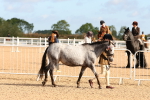 SBM_09185
