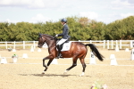 SBM_009390
