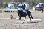 BPP_9661