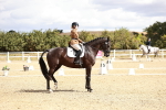 SBM_004240