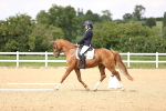 SBM_002203