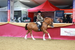 SBM_00869